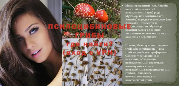 2c-b Алексеевка